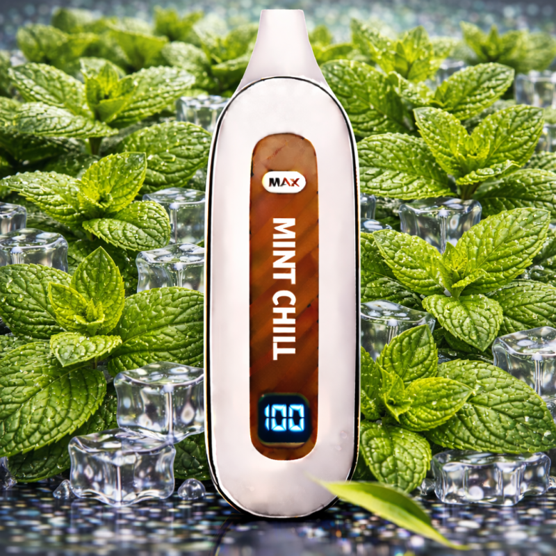 Флонг 12000 (Mint Chill)