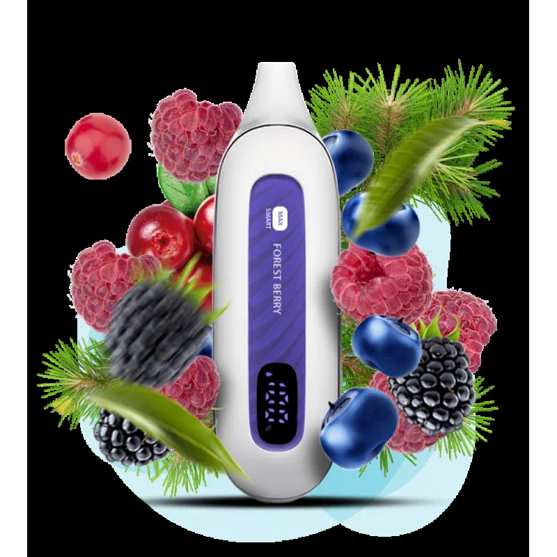 Flonq Max 12000 Forest Berry