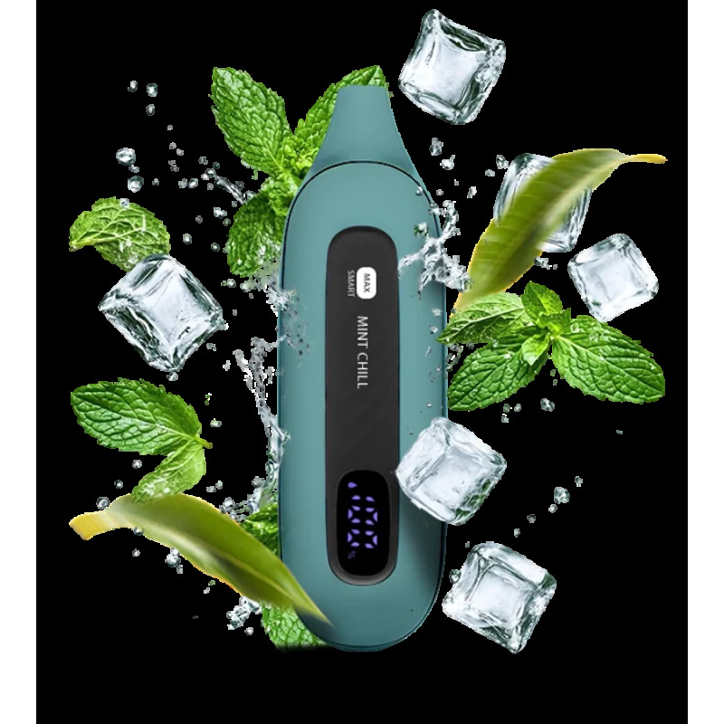 Flonq Max 12000 Mint Chill